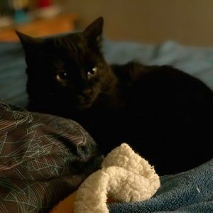 Meet your Posher, Katie